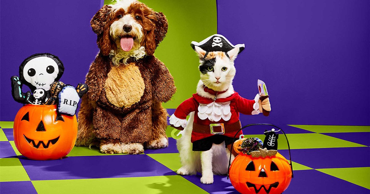 Petco’s Bootique Pet Halloween Costumes Shop Is Now Open